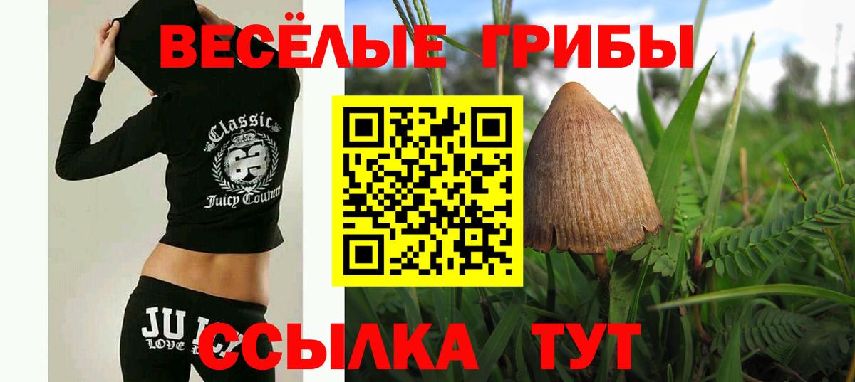 Псилоцибиновые грибы Cubensis Жигулёвск